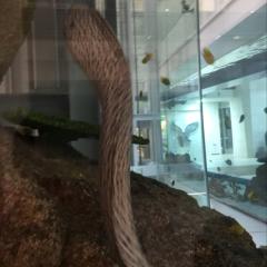 ひろきちのトーク