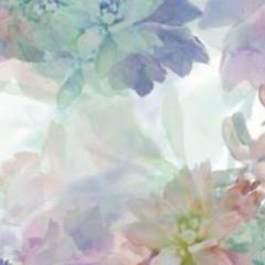 優花の画像加工部屋