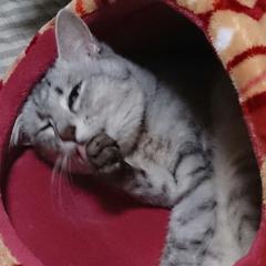 テストなんかじゃないトーク