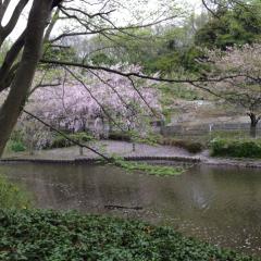 けいじのトーク