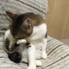 楽しくトーク🍓🍒