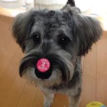 ひろじぃのトーク