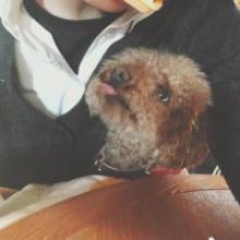 うーちゃんのトーク