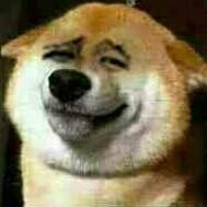 yuinacocoのトーク