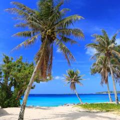 セイユーセイミー💑