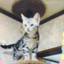 🐱ましょみ🐰のトーク