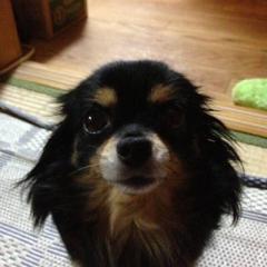 YUsa★≡=―