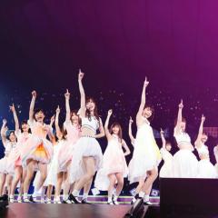 青キノコの乃木坂トーク