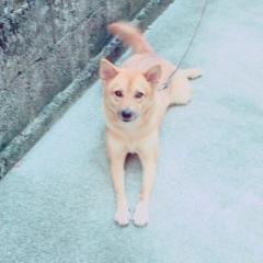 かいとおーー
