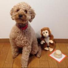 こうざかのトーク