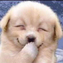 NAOTOの大切さん✨✨