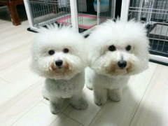 あいり