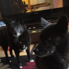 SEKAI☺︎のトーク