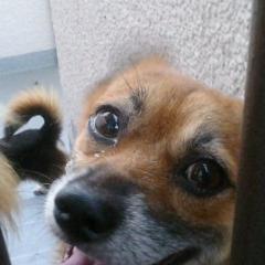 てるりんのトーク