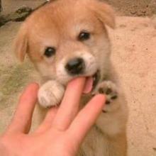 イーちゃんのトーク