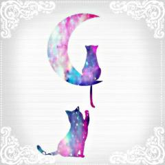 ARIA(´｡･v･｡｀)♡"