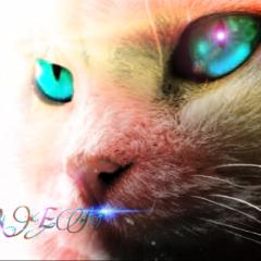 youtuberトーク！！