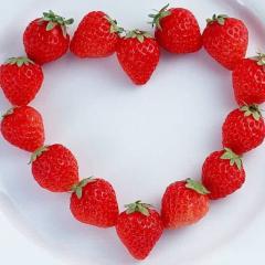 しんじろー。と。ちぃ。