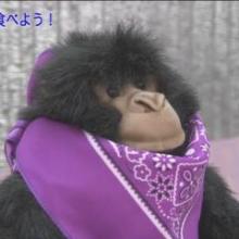 あおやまのトーク