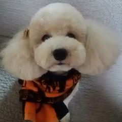 みうママのトーク