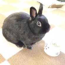 やまぐのトーク