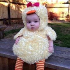 俺とらんの散歩🐈