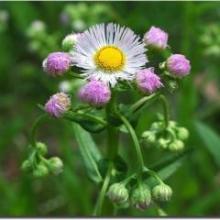 ふーや⊿のトーク