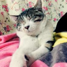 愚痴っていいぞっ！🎊できる範囲でどうすればいいか言うからね😘