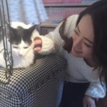 しのみんのトーク