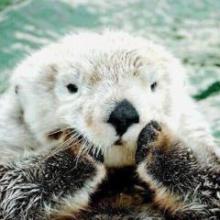 あいりのトーク