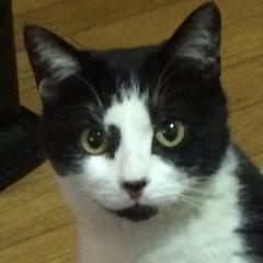 あいり