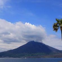 鹿児島のトーク