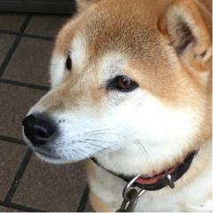 KEN