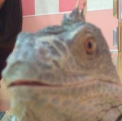 まるたろうのトーク