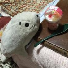 海豹／里枝のトーク