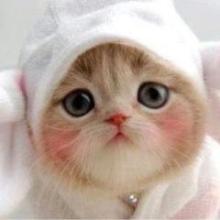 中高生の皆さんー、集まって話しましょー