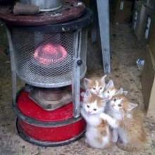 メンバー大募集トーク！！