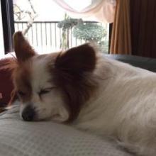 えとうのトーク