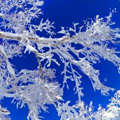 ✨のんある気分かも✨