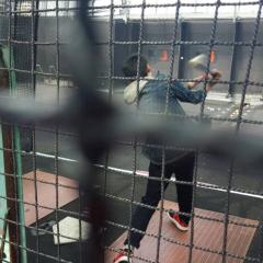 鋼の錬金術士大好き