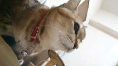 ヒロム