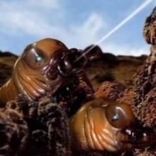 モスラえもんのトーク