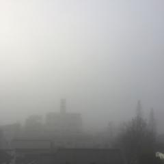 パセリから改名イトー