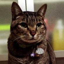 ひろたのトーク