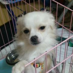 さっちゃん