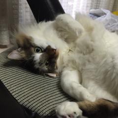 ゼロ
