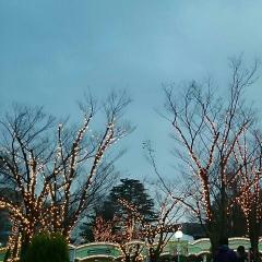 板橋区に住んでる人〜 話そー！