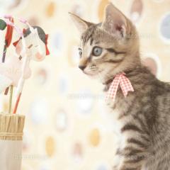 ゆりさんと尚也のトーク