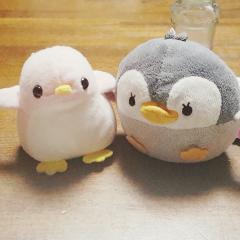 ぺんちゃん
