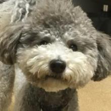 ぎろうのトーク